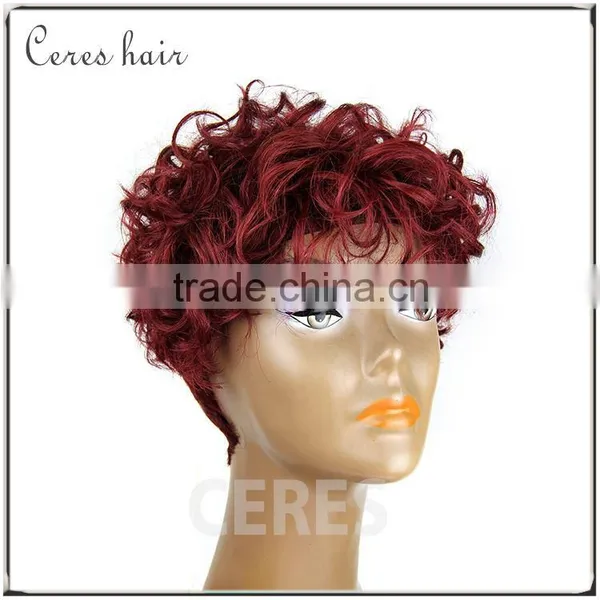 Short Cosplay Wig Lace Wig Human Hair for Christmas or Halloween Party Wig photo-2