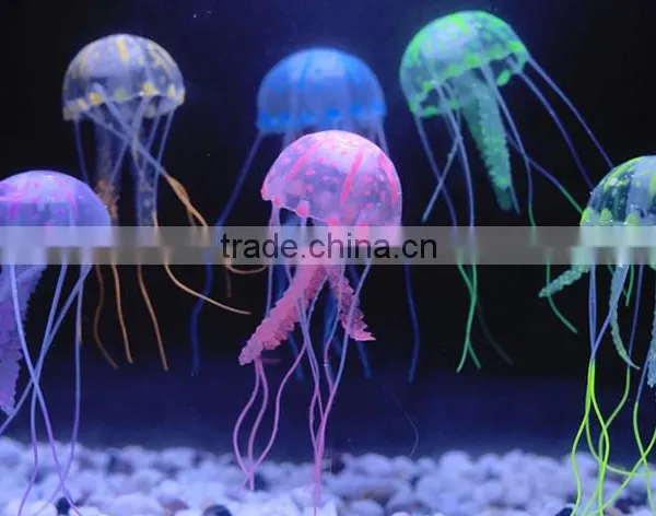 Colorful and Small Jellyfish Crystal Jellyfish photo-4