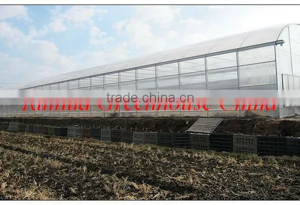 Double Inflated Plastic Film Greenhouse