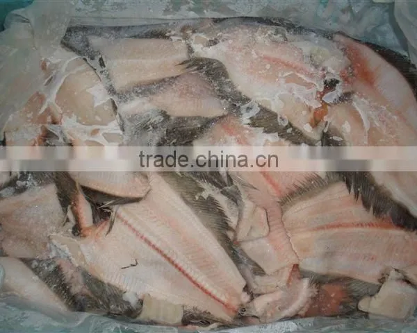 GREENLAND HALIBUT FRAMES