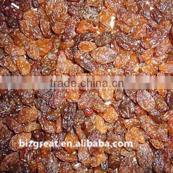 Good Quality Chinese Dried Brown Raisins for Sale photo-6