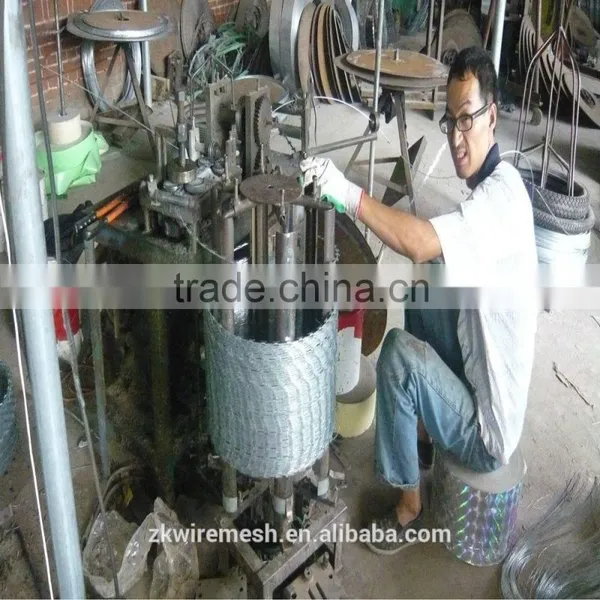 Cheap Barbed Wire, Razor Barbed Wire, Weight of Barbed Wire per Meter Length photo-3