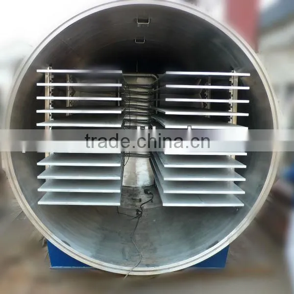 JDG Series Vacuum Lyophilizer for Food photo-3