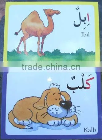 Arabic Alphabet Flash Cards-Arabic Quran --Islamic Gifts,Pocket Prayer Rugs