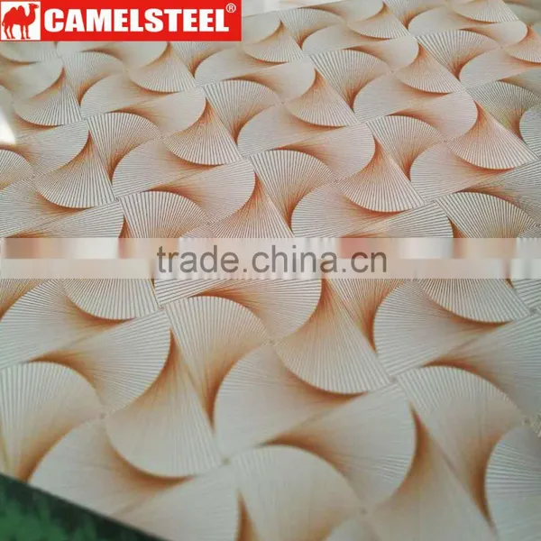Hot Sale Decorated PPGI/PPGL photo-4