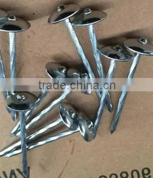 BWG9*2.5''umbrella Head Roofing Nails With Twist Shank photo-3