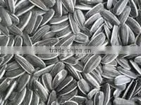 SUNFLOWER BLACK SEEDS photo-3