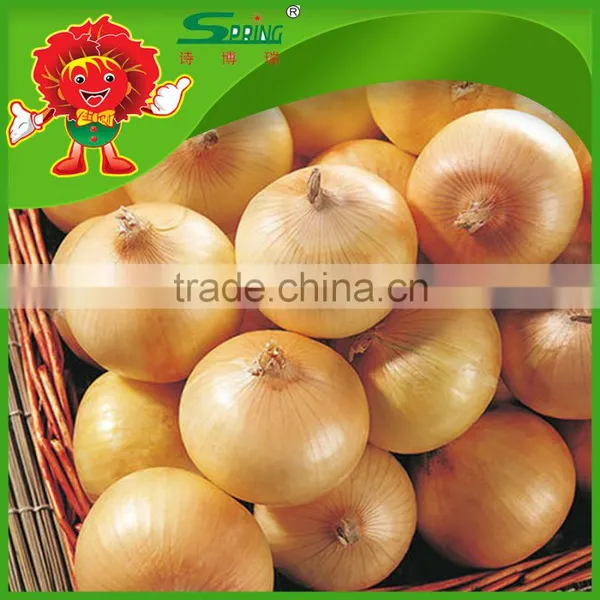 2015 Crop Fresh Red Onion in Mesh Bag Onions in Bulk photo-3