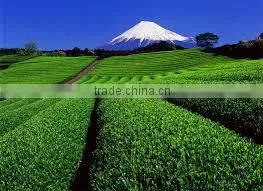 Made in Japan Powdered Green Tea. photo-2