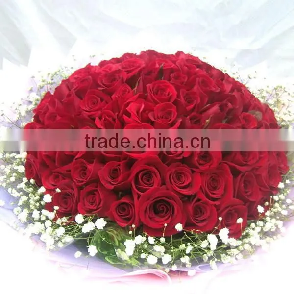 High Quality Fresh Cut Flowers/ Red Roses For Wedding photo-3