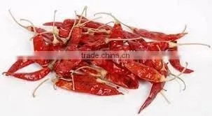 Indian Red Chily photo-4