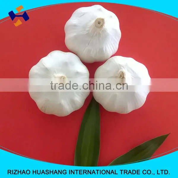 High Quality White Fresh Garlic, Size5.5cm