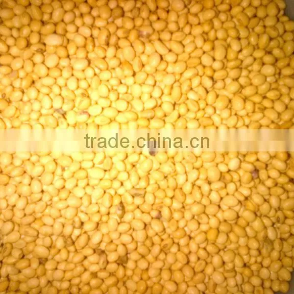 Soya Beans photo-3