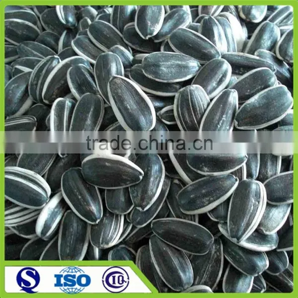 New Crop Round Shape Sunflower Seeds