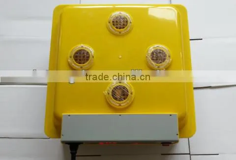 DL 48 Digital Full Automatic Mini Egg Incubator With CE Certificate China Made 38USD photo-2