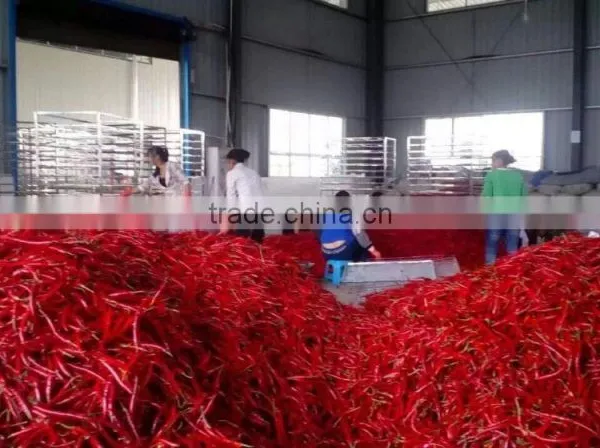 Hot Air Circulation Industrial Pepper Drying Machine photo-5