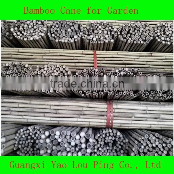 Fishing Pole Walking Tonkin Cane Bamboo