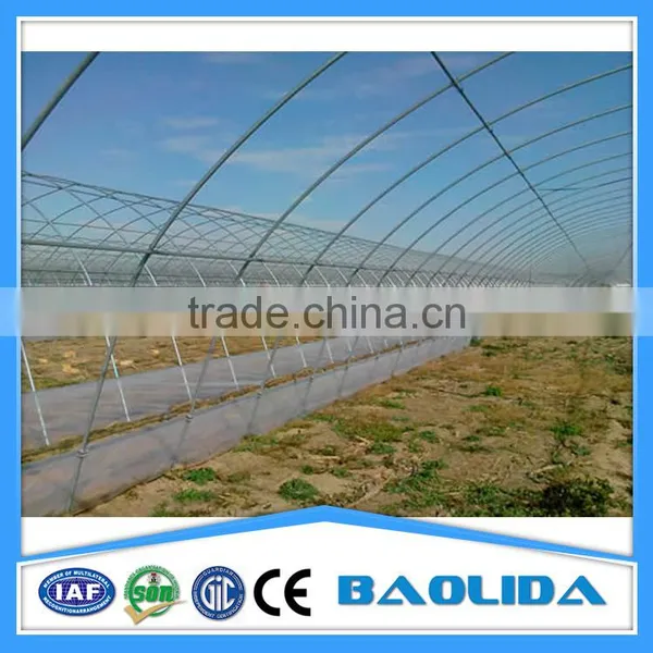 Low Cost Greenhouse photo-3