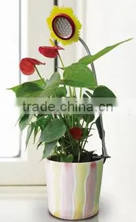 3w Desktop LED Grow Light for Indoor Flower Pot photo-2