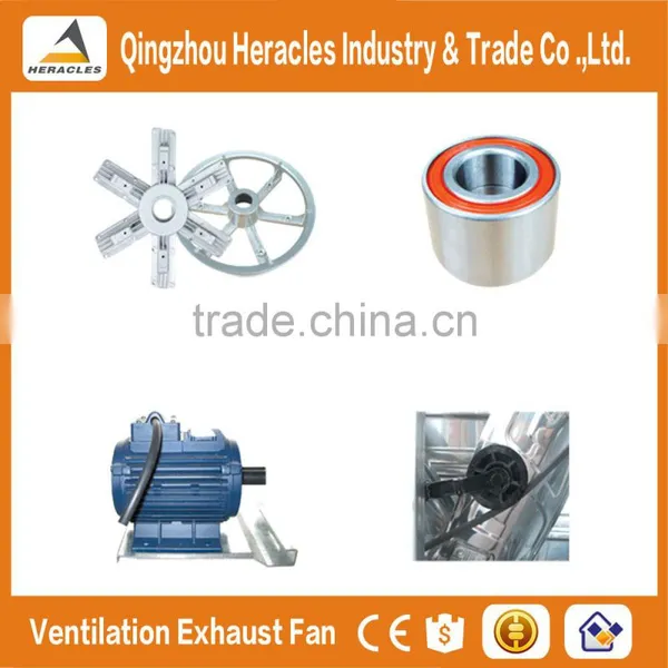 Heracles Trade Assurance Hot Galvanized Steel Industrialventilation Exhaust Fan for Chicken Farming Equipment and Greenhouse photo-4