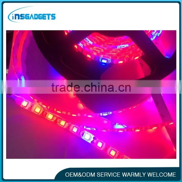 Plant Growth LED Lights photo-3