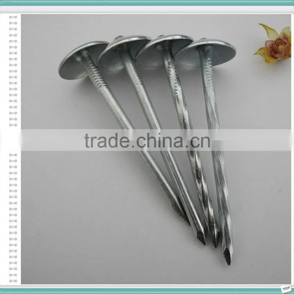 Umbrella Head Roofing Nail of 50kg Gunny Bag photo-5