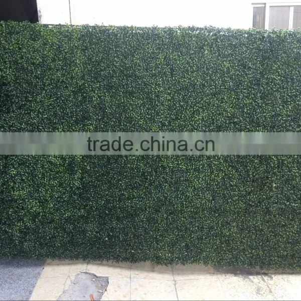 Real Touch Artificial Mangosteen Lawn photo-4
