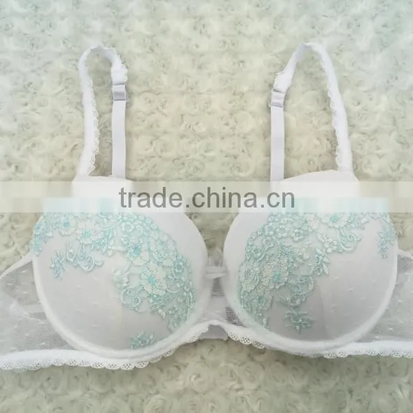 Newest Style Ladies Underwear Sexy Bra Sexy Net Bra Hot Sale New Design photo-5