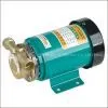 Household Boosting Pump