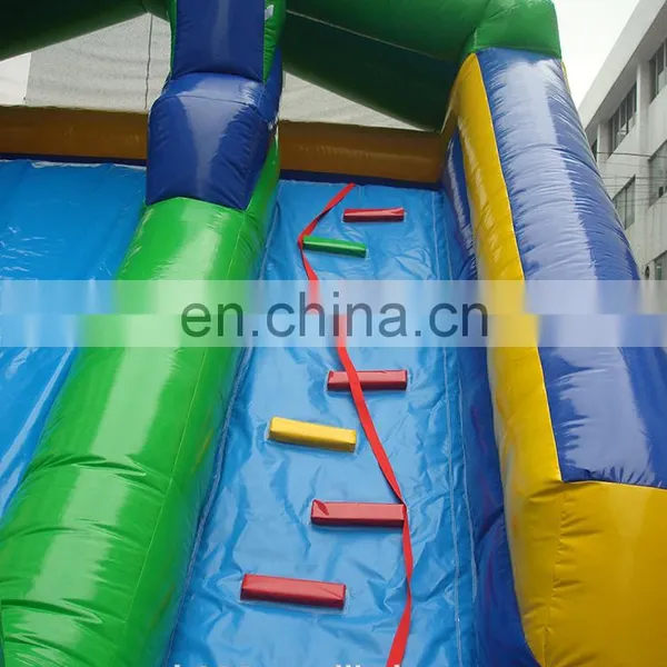 Outdoor Giant Inflatable Water Slide With Climbing Wall photo-5