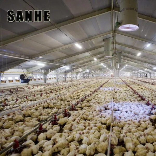 Light Steel Frame Chicken House Designs Prefab Chicken Farm Building photo-2