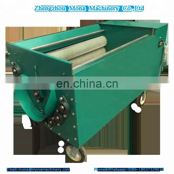 Automatic Green Walnut Peeling Washing Machine ,fresh Walnut Peeler Production Line Price photo-3