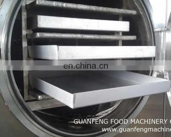Vacuum Freeze Dryer Dryer Equipment photo-5