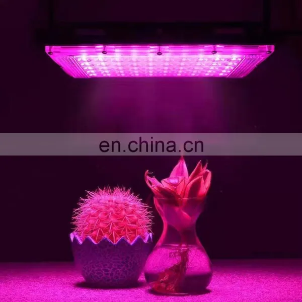 LED Grow Light Red Blue Indoor Plants Flowers Seedlings Growth Lighting photo-7
