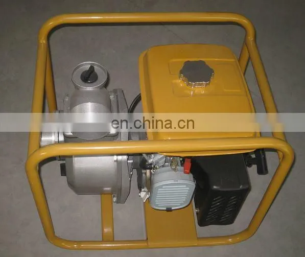 High Quality Robin Ey20 Water Pump Submersible Pump Heater Booster Pump photo-3