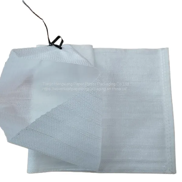 China Cheap Strong Moisure Proof pp Woven Cement Packaging Bags photo-4