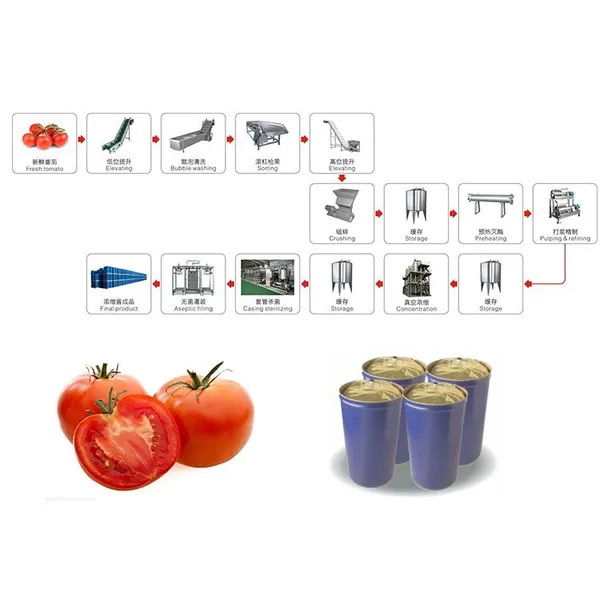 Shanghai Complete Tomato Paste Processing Equipment/Machine for Concentrating Fruit & Vegetable Products photo-6