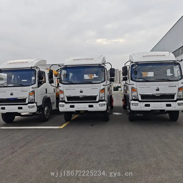 Sinotruk Double-row Seat Export-type Truck-mounted Crane With Anti-corrosion Electrophoretic Cargo Box and Xcmg Crane photo-3