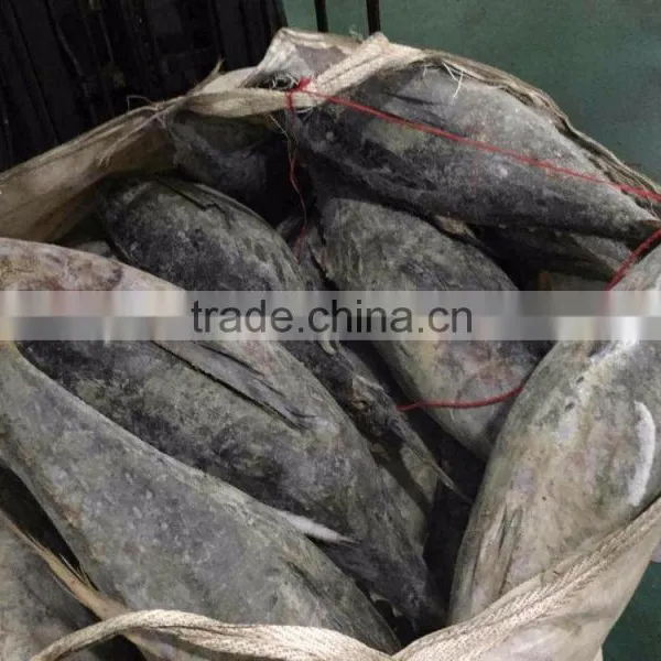 Frozen Yellowfin Tuna photo-2