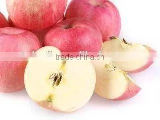 Top Quality Fresh Red Fuji Apple photo-5