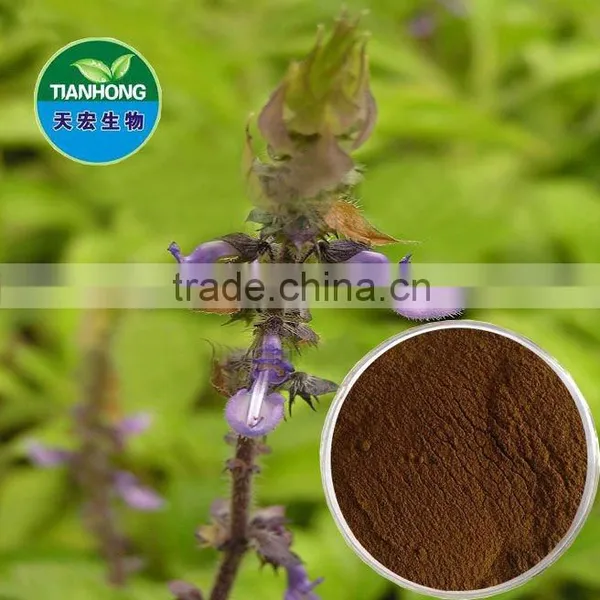 Coleus Forskohlii Extract of High Quality