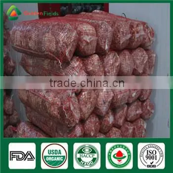 Wholesale Bulk Frozen China Shiitake Mushroom Spawn Log Bag Growing Kit photo-2