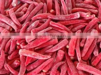 FROZEN CHILLI1