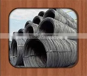 China Standard Hot Sale Steel Wire Rod Shareholders photo-3