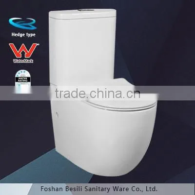 Hedge Type of Flushing Watermark Toilet Suite photo-5