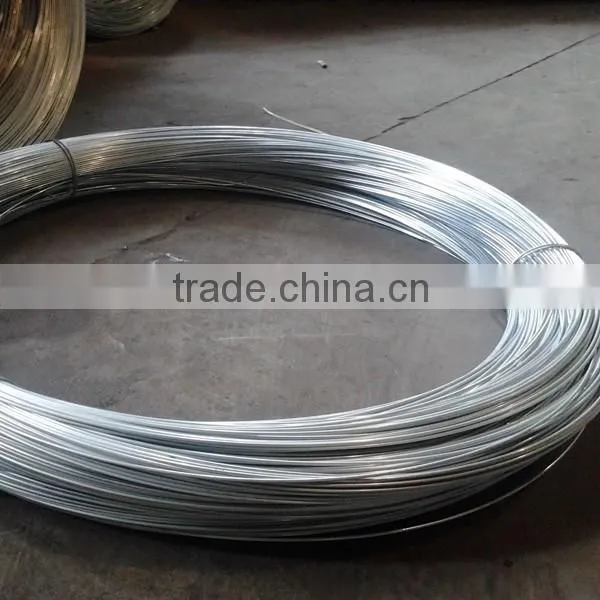 3mm Galvanized Wire Hot Sale photo-3