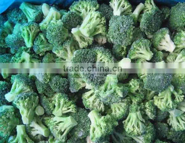 IQF Broccoli, Frozen Broccoli, Frozen Vegetables photo-3
