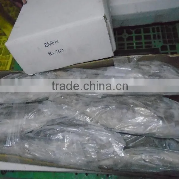FROZEN EMPEROR FISH photo-6