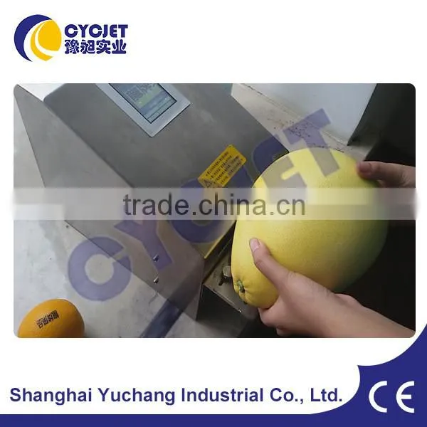 Expiry Date Stamping Machine/ALT390 Lot Number Printing Machines photo-6
