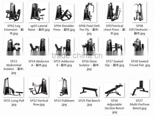 Multi Gym Equipment Bodybuilding Supplements Lateral Raise SP03 photo-2
